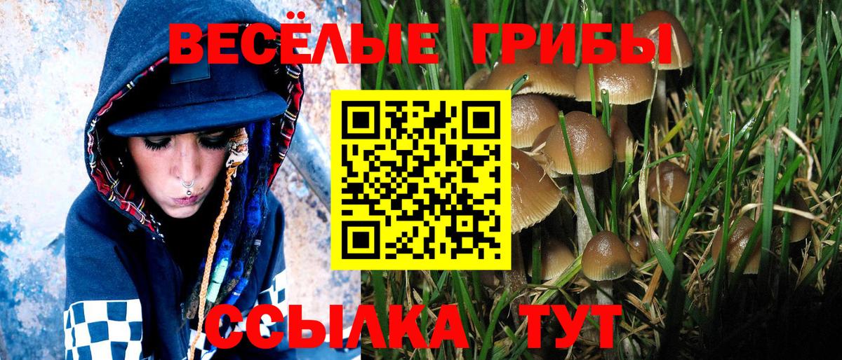 Улан-Удэ  Галлюциногенные грибы Magic Shrooms  Вход с VPN  Галлюциногенные грибы Psilocybe 