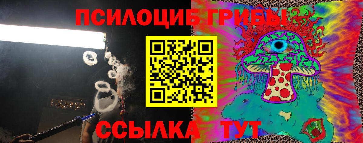 Псилоцибиновые грибы Cubensis Улан-Удэ
